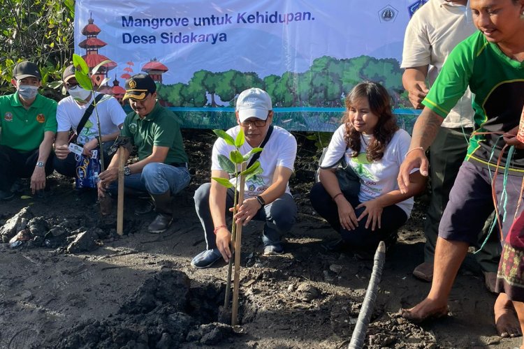 PT. DEWATA ENERGY BERSIH Tanam 500 Bibit Mangrove di Sidakarya