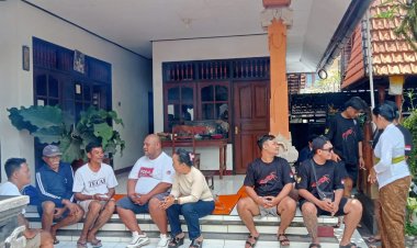 Semut, Tanggapan Nyata Demi Kemanusiaan