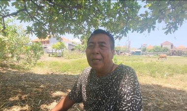 Vonis 2 tahun, Selepeg Percaya 'Ida Sesuhunan' Tahu Siapa yang Berbohong
