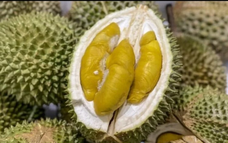 Manggis, Ratu Buah di Malaysia Mengalahkan Musang King