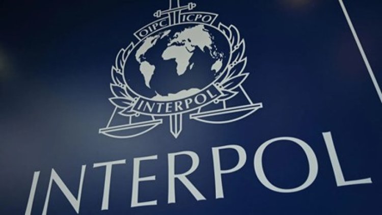 Maroko Terpilih sebagai Wakil Presiden Interpol untuk Afrika