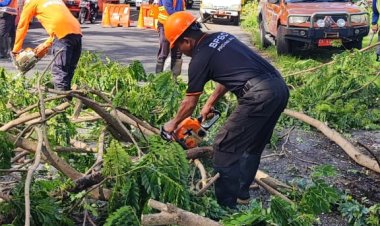 Bencana Hujan Deras dan Angin Kencang di Bali, 2 Korban Jiwa, 55 Kejadian di Berbagai Wilayah
