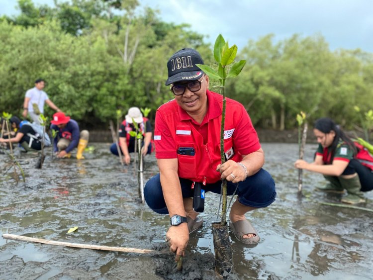 Kolaborasi Hijau, PMI Tanam 1.000 Mangrove di Desa Tuwed untuk Cegah Abrasi