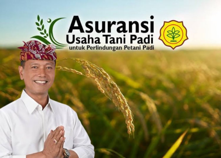 Ajik DNB: Perlu Sosialisasi Asuransi Tani Agar Petani Sadar Bukan Program Jargon