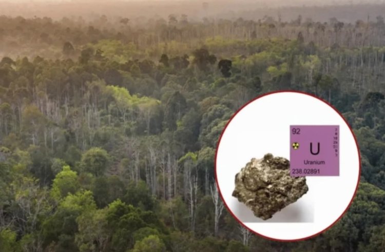 Gempar! Ditemukan Harta Karun Uranium 24.112 Ton di Melawi, Kalbar Indonesia Duduki Peta Energi Nuklir Dunia?