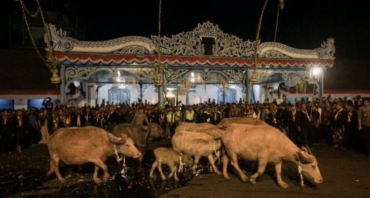 1 Muharam dan 1 Suro, Dua Awal Tahun, Dua Makna dalam Satu Kalender