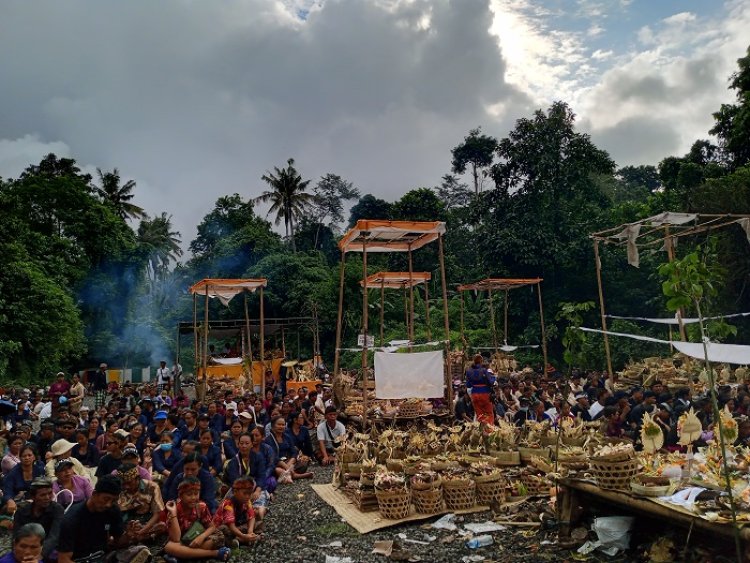 Efisien dan Merakyat, Desa Adat Kemenuh Upacarai 54 Sawa dalam Atiwa-Tiwa Kinembulan 2025