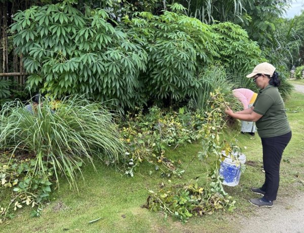 KEK Kura Kura Bali–Nukari Kolaborasi Hijau, Lahan dan Kolam Disulap Jadi Ruang Produktif Warga Serangan