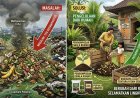 Saat Sampah Organik Membebani TPA, Solusi Justru Dimulai dari Rumah