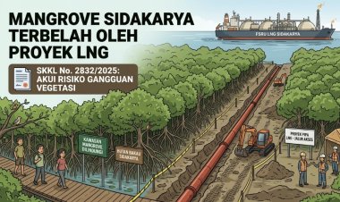 Dokumen Resmi Akui Risiko, Mangrove Sidakarya Mulai Terbelah oleh Proyek LNG