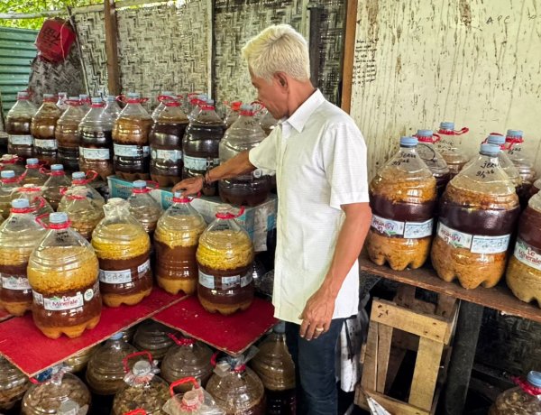 Dari Sampah Jadi Berkah, Kolaborasi Komunitas Angen dan BTID Dorong Solusi Organik di Serangan