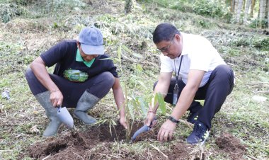 Peringatan Hari Bumi 2026, PLN Indonesia Power UBP Bali Tanam 1.000 Pohon dan Resmikan Sistem Air Bersih di Hutan Bambu Sandan