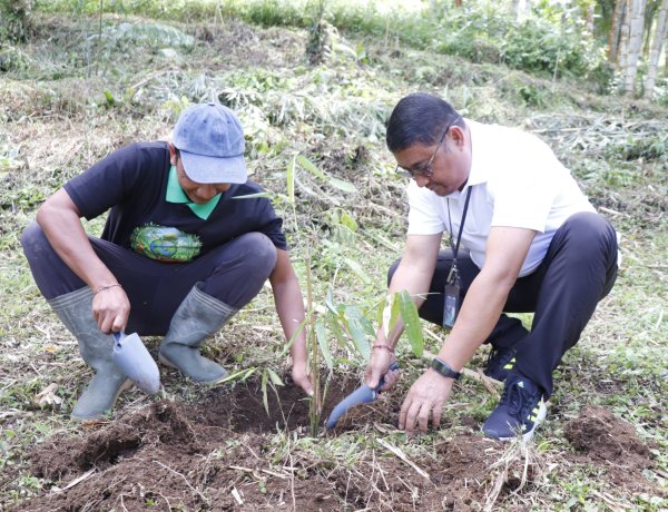 Peringatan Hari Bumi 2026, PLN Indonesia Power UBP Bali Tanam 1.000 Pohon dan Resmikan Sistem Air Bersih di Hutan Bambu Sandan
