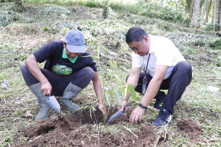 Peringatan Hari Bumi 2026, PLN Indonesia Power UBP Bali Tanam 1.000 Pohon dan Resmikan Sistem Air Bersih di Hutan Bambu Sandan