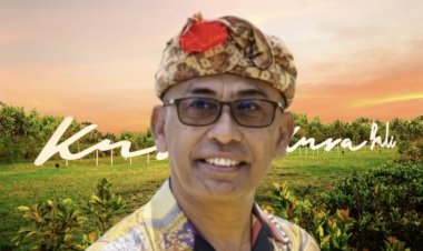 Rekomendasi Pansus TRAP soal BTID Tertolak, DPRD Bali Ingatkan Jangan Ganggu Iklim Investasi