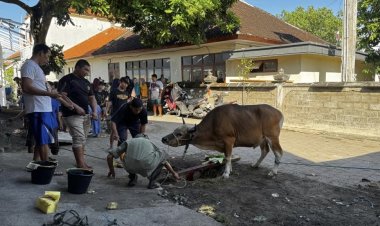 Idul Adha di Serangan Jadi Simbol Harmoni, BTID Kembali Salurkan Hewan Kurban untuk Warga Kampung Bugis