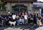 Program Kitabisa Ajak Voluntrip "Walk, Learn and Fun Game With Dogs" dan Paham Rabies