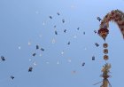 763 Layangan Penuhi Langit Sanur, Denpasar Kite Festival ke-10 Resmi Bergulir