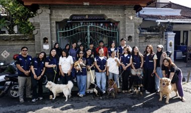 Program Kitabisa Ajak Voluntrip "Walk, Learn and Fun Game With Dogs" dan Paham Rabies