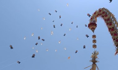 763 Layangan Penuhi Langit Sanur, Denpasar Kite Festival ke-10 Resmi Bergulir