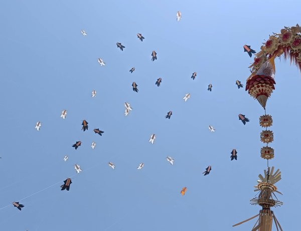 763 Layangan Penuhi Langit Sanur, Denpasar Kite Festival ke-10 Resmi Bergulir
