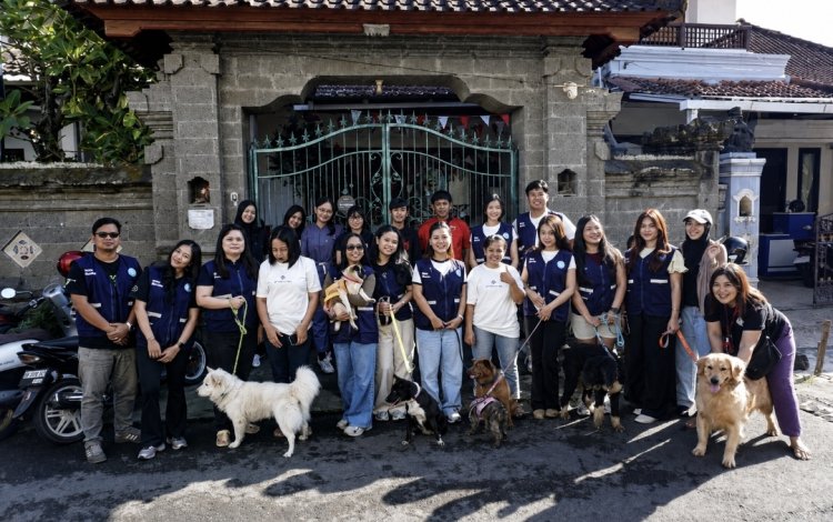 Program Kitabisa Ajak Voluntrip "Walk, Learn and Fun Game With Dogs" dan Paham Rabies