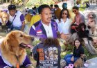 Tujuh Kasus Kematian Suspek Rabies, PDHI Bali Perkuat Pencegahan Menuju 2028