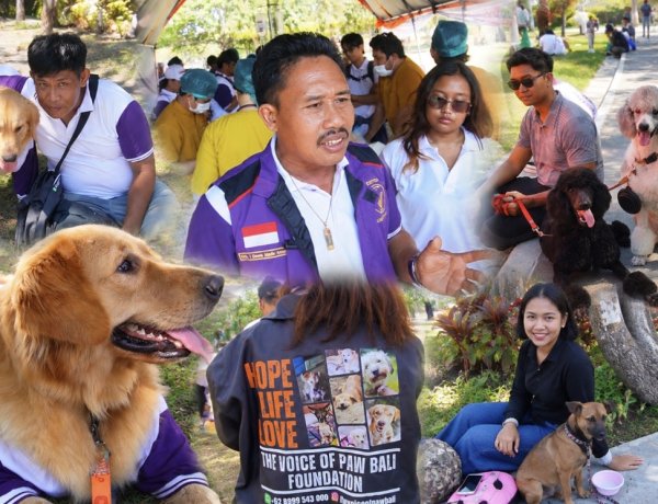 Tujuh Kasus Kematian Suspek Rabies, PDHI Bali Perkuat Pencegahan Menuju 2028